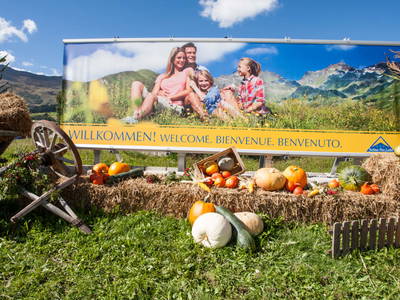 Bild 123 aus  Holzackerhof