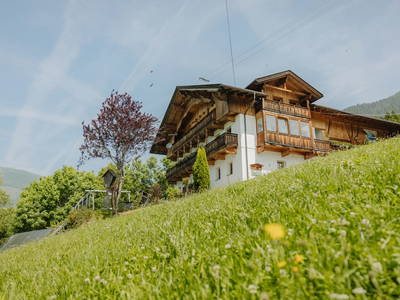 Bild 11 aus  Oberrieserhof