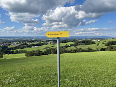 Bild 28 aus  Landhaus  Aigner 