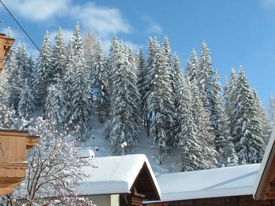 Bild 65 aus  Erbhof Hofer - Haus Pitterl