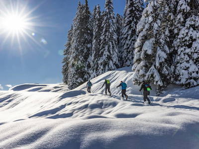 Bild 38 aus  Wohnen in der Honigmanufaktur - ein Urlaub zum Schwärmen