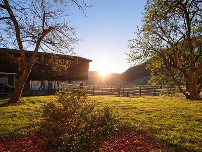 Bild 29 aus  Feriengut Hasenau