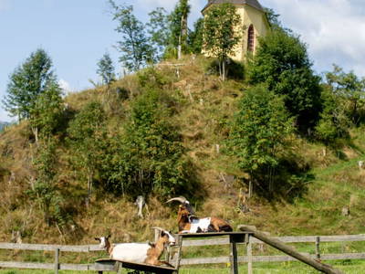 Bild 63 aus  Olachgut