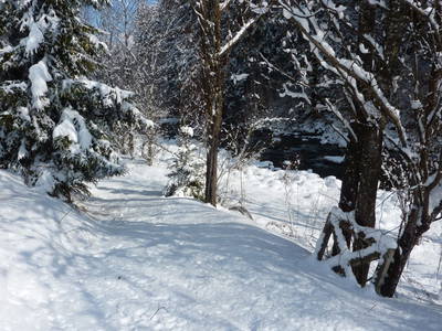 Bild 142 aus  Smiley Fluss Chalet