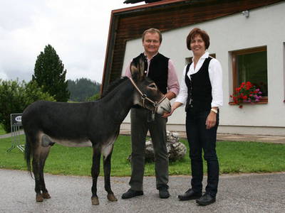 Bild 33 aus  Bachrain - Bio am Berg 