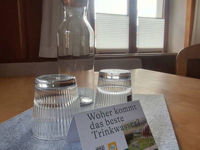 Bild 9 aus  Reiterhof Romanasa