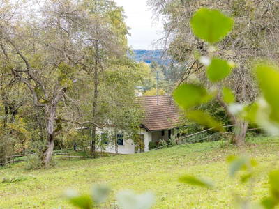 Bild 21 aus  Haus Eveline