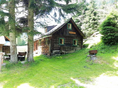 Bild 2 aus  Neubauer