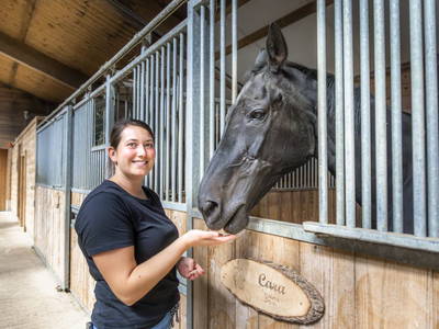 Bild 60 aus  Viehhofgut