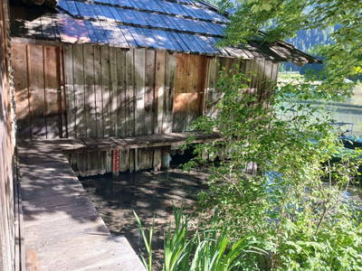 Bild 9 aus  Almhütte Meierle