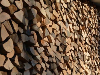 Bild 43 aus  Gesundheitsbauernhof