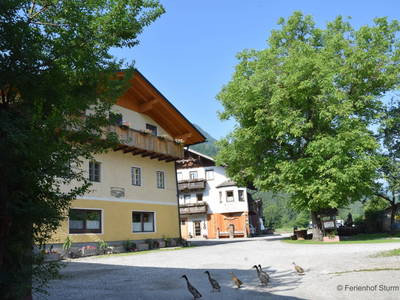Bild 4 aus  Ferienhof Sturm
