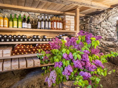 Bild 89 aus  Schwaigerlehen - Berngarten