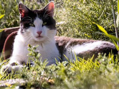 Bild 39 aus  Hofquartier Retzmoar