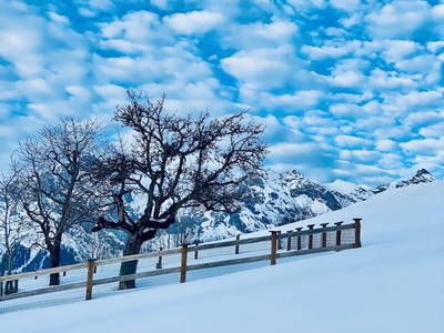 Bild 114 aus  Ederbauer