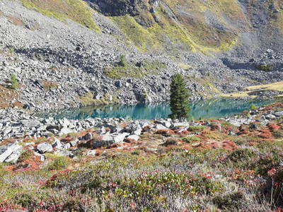 Bild 62 aus  Tobadillerhof Kinderbauernhof Pitztal Tirol