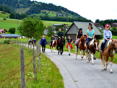Bild 12 aus Aigner- Holler