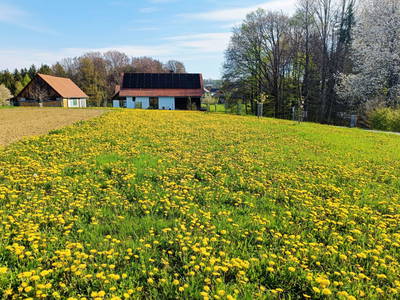 Bild 24 aus Ferienhaus Warga
