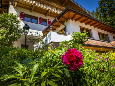 Bild 112 aus  Zauchtalerhof