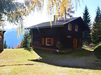 Bild 2 aus  Almhütten-Chalet "Almruhe" im Lesachtal