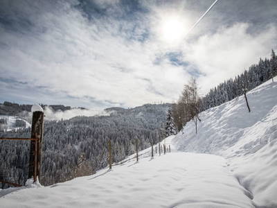 Bild 120 aus  Brennergut