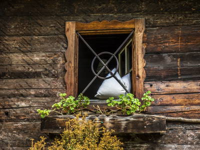 Bild 62 aus  Schwaigerlehen - Berngarten