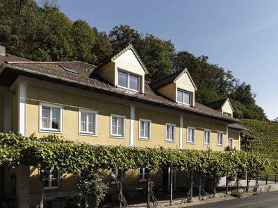 Bild 2 aus  Weingarten Haselgraben - Der Manfred und die Seinen