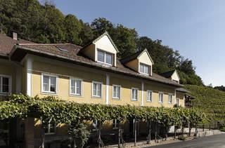Weingarten Haselgraben - Der Manfred und die Seinen aus Kirchschlag bei Linz