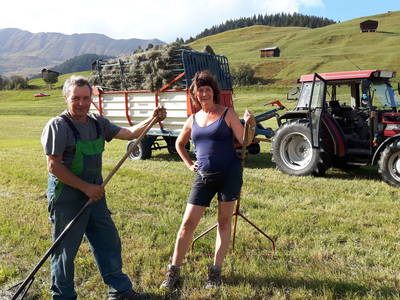 Bild 27 aus  Fergl's Hof