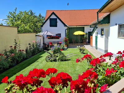 Bild 11 aus  Ferienhaus Weinviertel