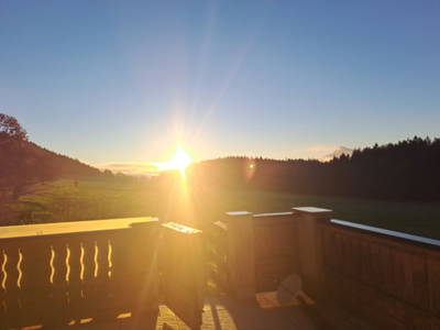 Bild 19 aus  Obergrünwaldgut