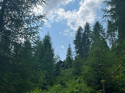 Bild 103 aus Neuwirth Hütte