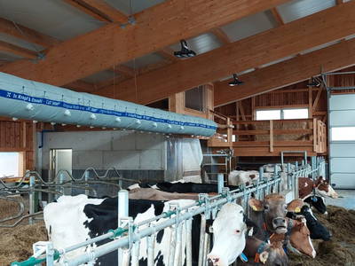 Bild 8 aus  Zillerlehen