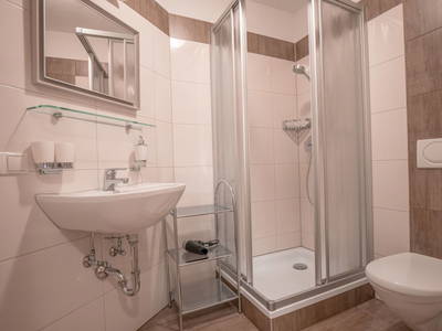 Bild 132 aus  Kinderbauernhof Albeineler Pitztal Tirol