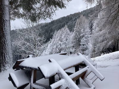 Bild 52 aus  Panorama Almhütte Nockberge