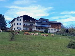 Berghof Latzer aus Nenzing