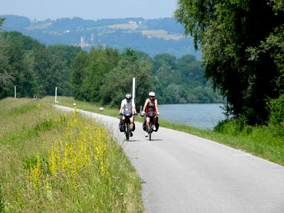 Bild 9 aus Bauernhof Webinger