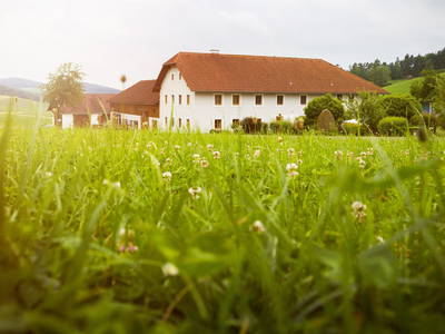 Bild 2 aus  Edlmayrhof