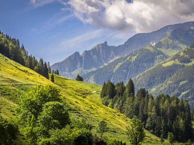 Bild 16 aus  Kaserer