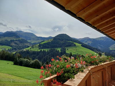 Bild 67 aus  Vorderzettn