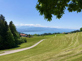 Innauer Hof: Der Bio-Hof mit Panoramablick auf den Bodensee aus Eichenberg