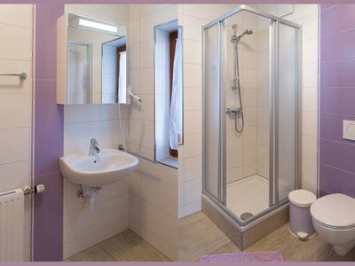 Bild 52 aus  Radlerbauernhof Moser