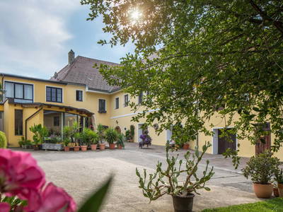 Bild 2 aus  Winzerhof Obenaus