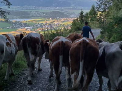 Bild 130 aus  Hüttstädterhof