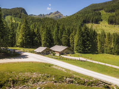 Bild 56 aus  Hintereggalm