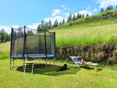 Bild 14 aus  Boznermüllerhof