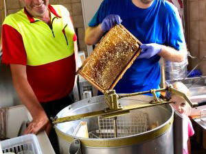 Bild 25 aus  Haus Saling