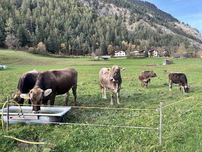 Bild 75 aus Schalkler