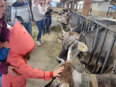 Bild 19 aus  Alfaierhof & Bergheimat