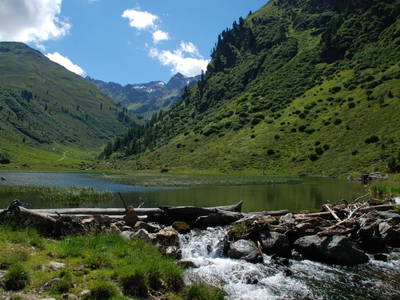 Bild 114 aus  Holzackerhof